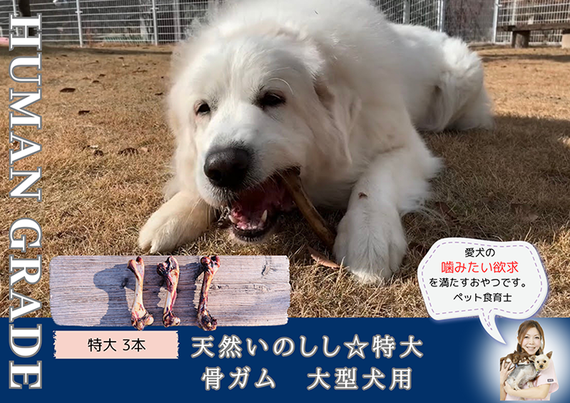 FB178_大型犬向け☆天然いのししの骨ガム3本