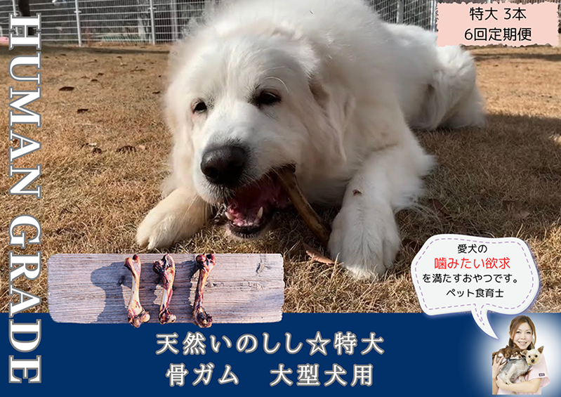 FB179_大型犬向け☆天然いのししの骨ガム3本【定期便】全6回