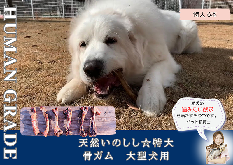 FB181_大型犬向け☆天然いのししの骨ガム6本