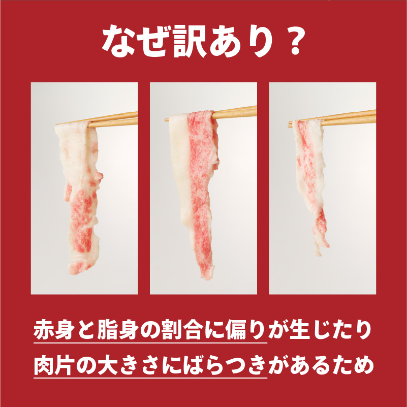 【訳あり】佐賀牛切り落とし500g（500g×1パック）（12月配送）