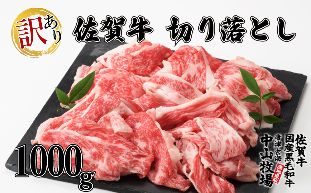 【訳あり】佐賀牛切り落とし1000g（500g×2パック）（11月配送）