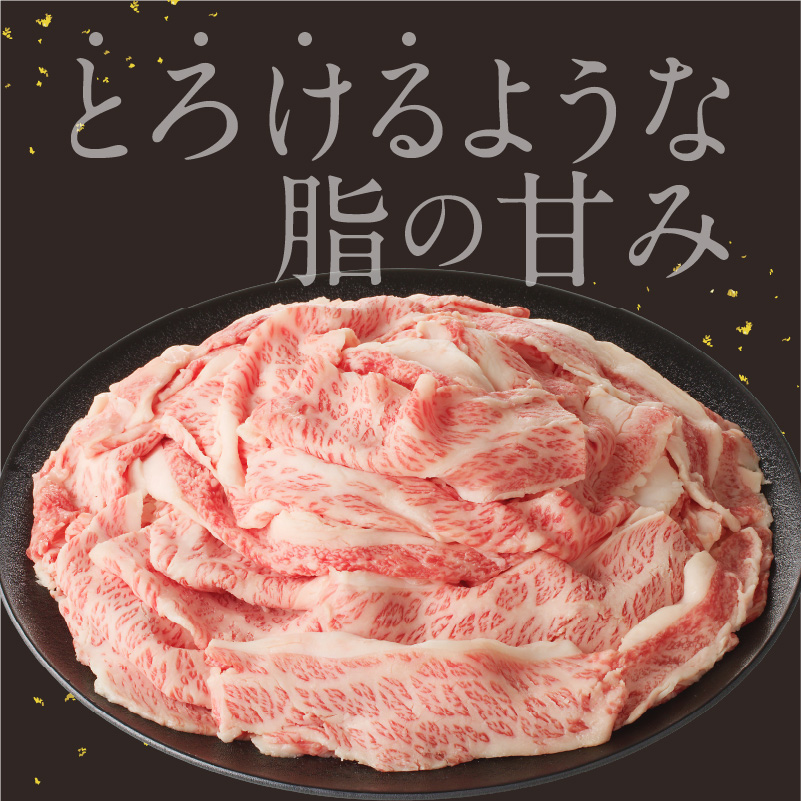 【訳あり】佐賀牛切り落とし2kg（500g×4パック）（12月配送）