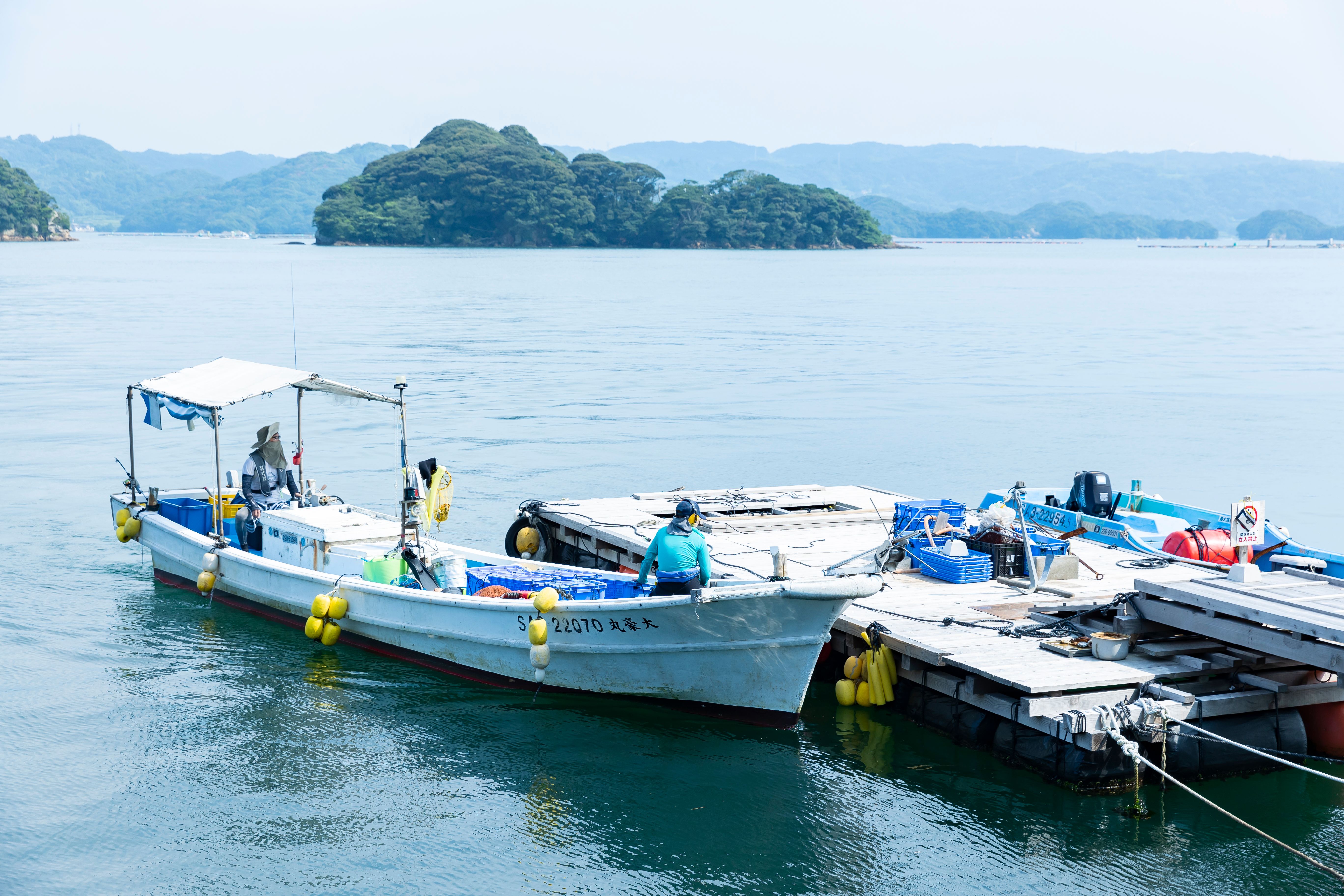 玄海町産さざえ　1.2kg（12月配送）