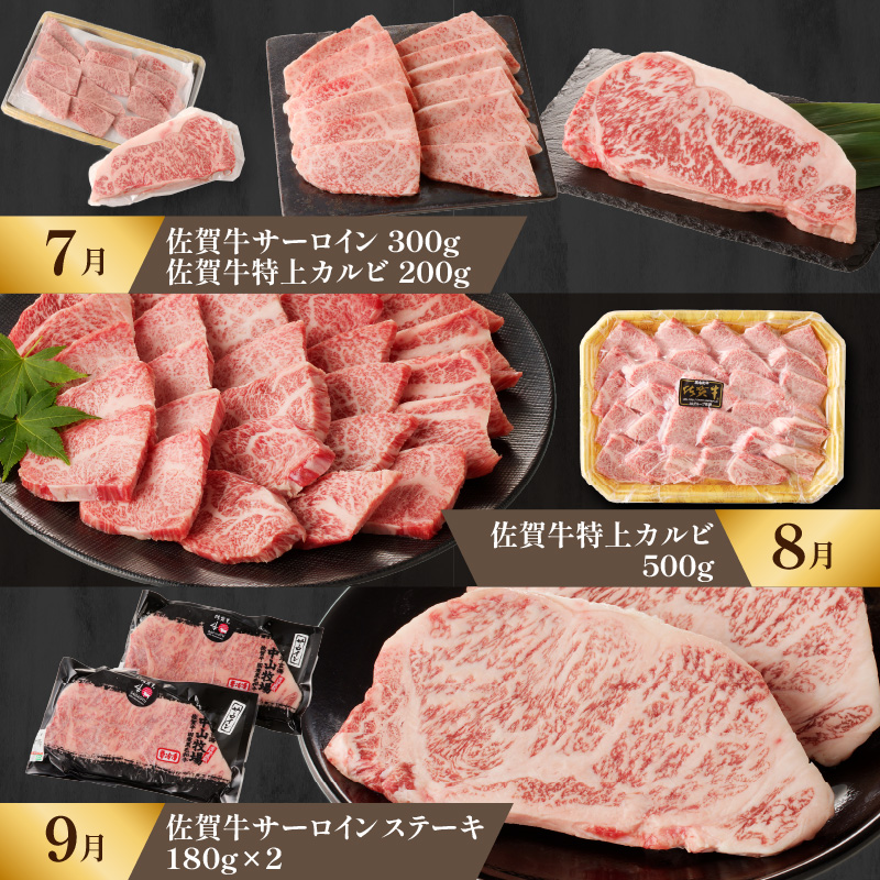 【特上】佐賀牛　極味肉定期便（毎月1回　計12回お届け）