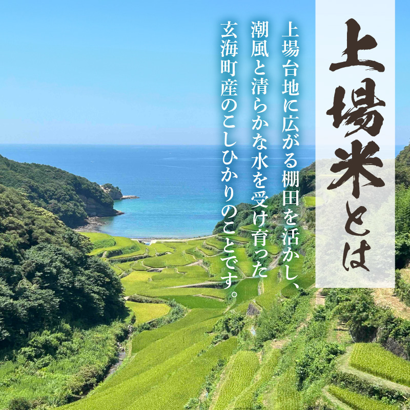 【予約受付】＜令和7年度産 新米＞超新米定期便（5kg×2袋×2回）