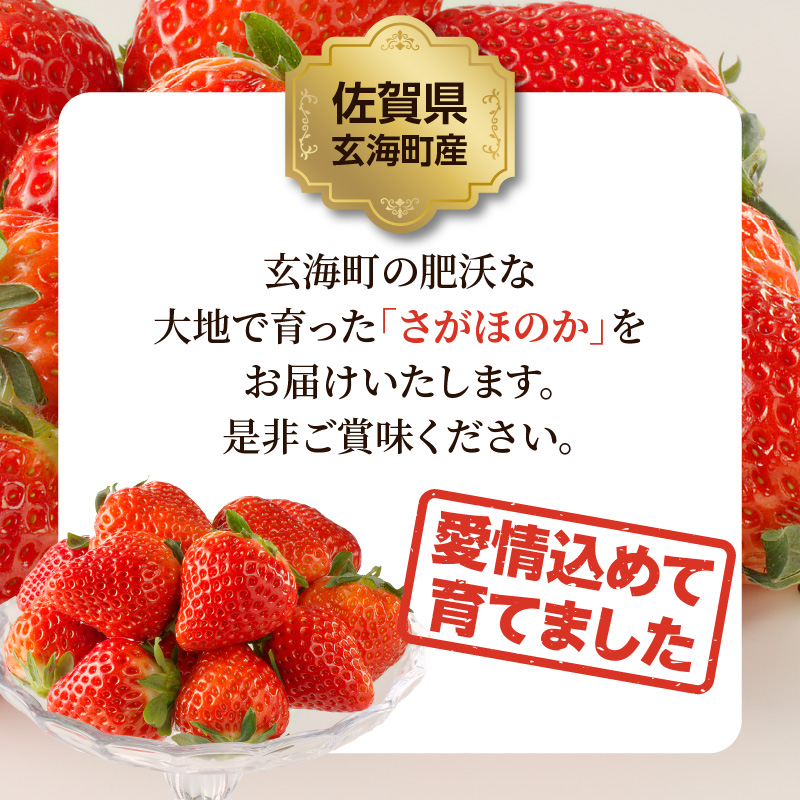 ★予約受付★渡邉農園 玄海町産いちご「さがほのかDX」1月〜4月に順次配送