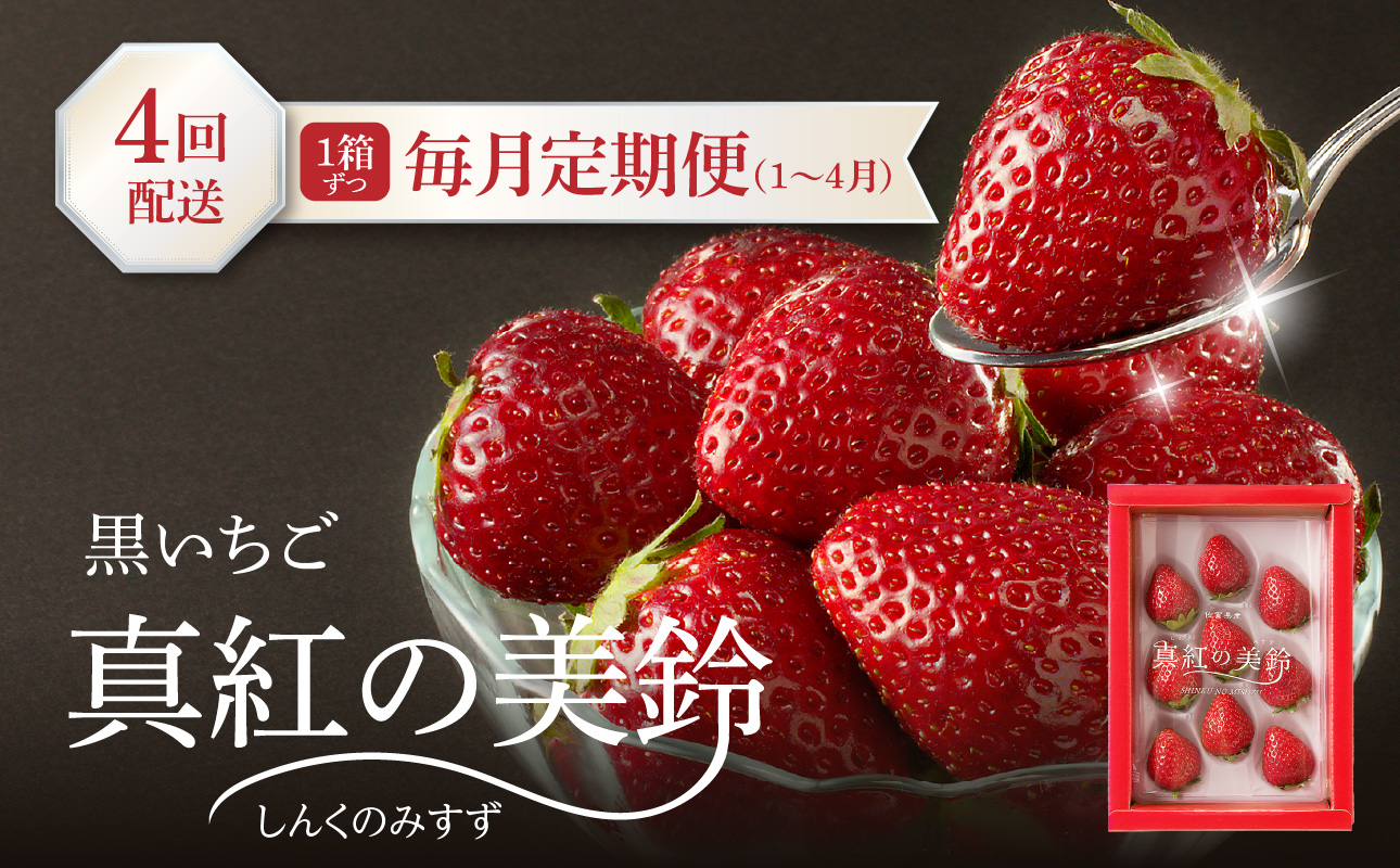 ★予約受付★玄海町産いちご“真紅の美鈴（しんくのみすず）”毎月定期便