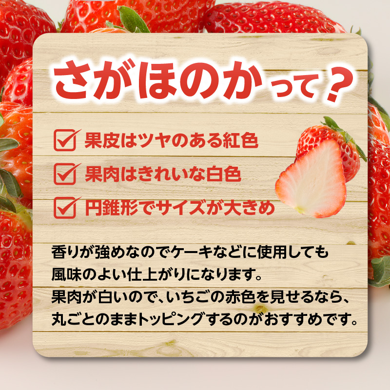 ★予約受付★渡邉農園 玄海町産いちご「さがほのかDX」1月〜4月に順次配送