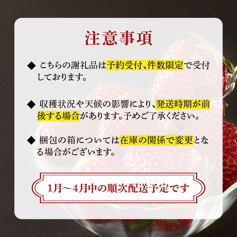 ★予約受付★玄海町産いちご“真紅の美鈴（しんくのみすず）”毎月定期便