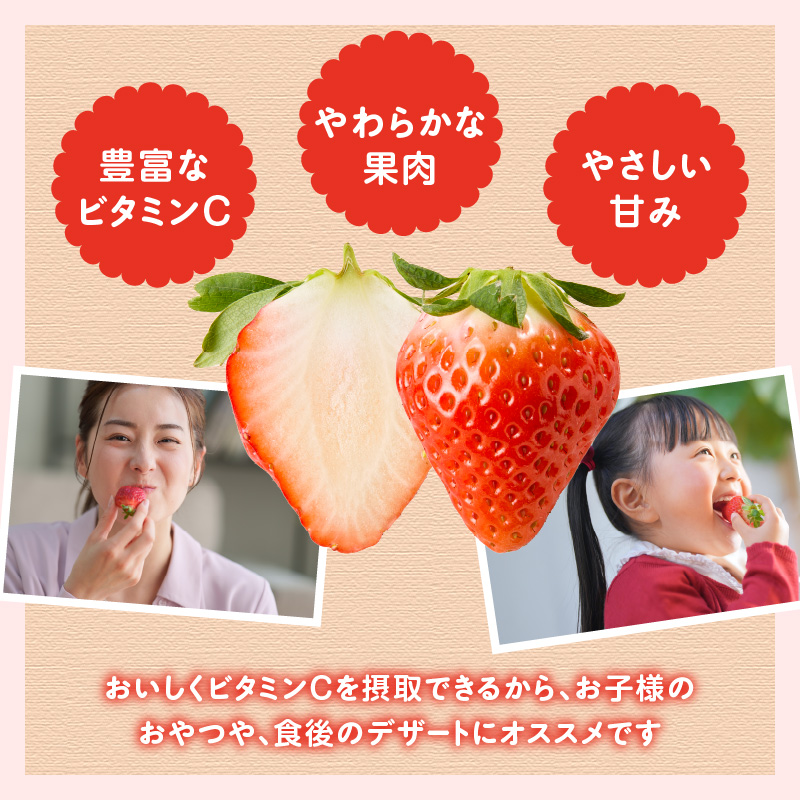 ★予約受付★平川いちご農園 佐賀県玄海町産いちご「さがほのか」2026年1月〜4月順次配送
