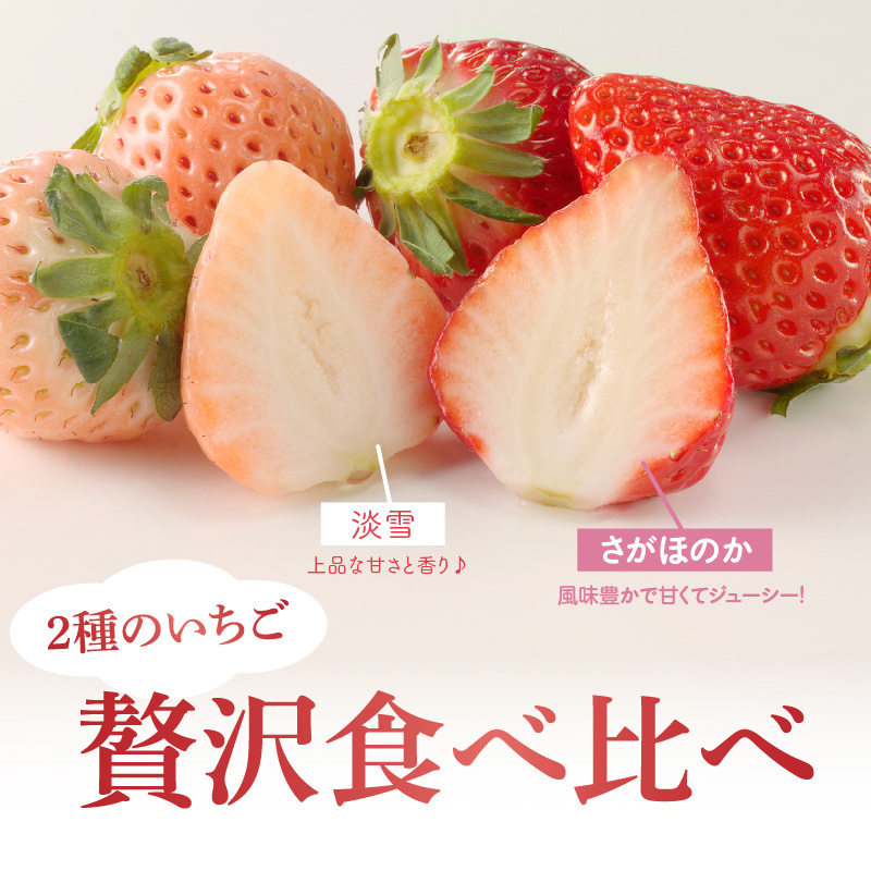★予約受付★杉山いちご農園 希少！白いちご「淡雪（あわゆき）」と「さがほのか」DX ギフトセット　2026年1月〜5月中に順次配送