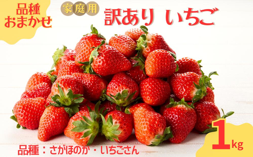 ★予約受付★平川いちご農園【2026年3月～5月 順次配送】玄海町産いちご（家庭用・訳あり）1kg ／ 送料無料 いちご さがほのか いちごさん 希少 果物 くだもの フルーツ デザート 予約受付