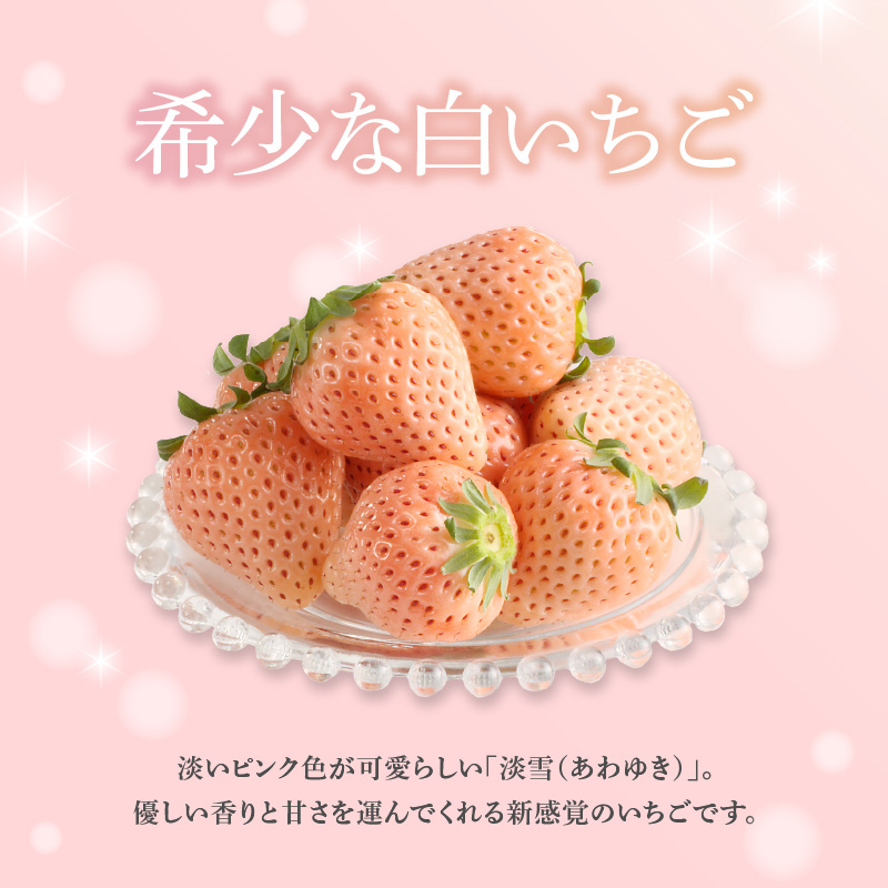 ★予約受付★杉山いちご農園 希少！白いちご「淡雪（あわゆき）」と「さがほのか」DX ギフトセット　2026年1月〜5月中に順次配送