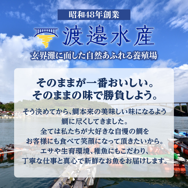 渡邉水産・海鮮定期便（6回）