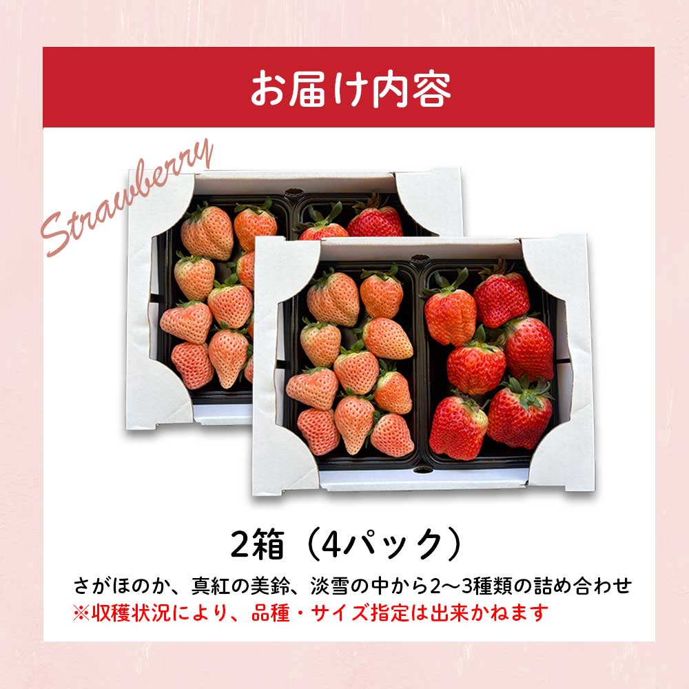 â
äºçŽåä»â
æå±±ãã¡ã蟲åã2026幎2æã5æ é æ¬¡é
éãçæµ·çºç£ããã©ããã¡ãè©°ãåããïŒå®¶åºçšã»èš³ããïŒ