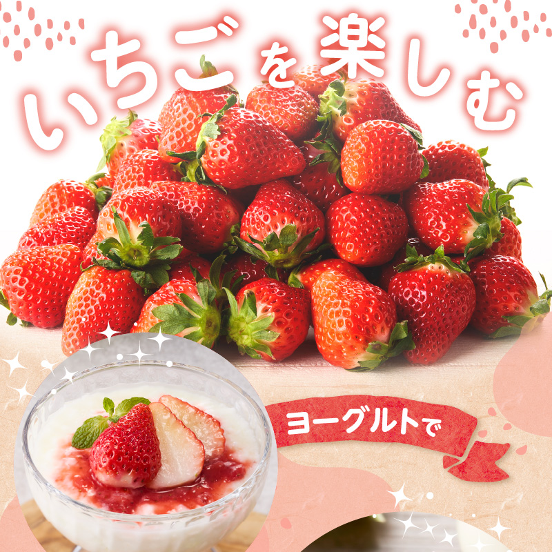 ★予約受付★平川いちご農園 佐賀県玄海町産いちご「さがほのか」2026年1月〜4月順次配送
