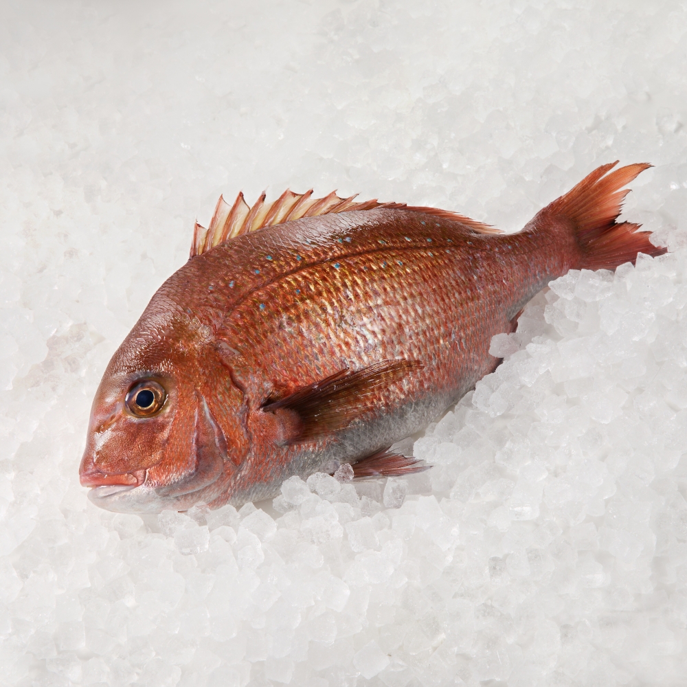 縲占ィ12蝗槭♀螻翫¢縲醍私豬キ逕コ繧医j縺ゥ繧雁ョ壽悄萓ソシ育ォケシ