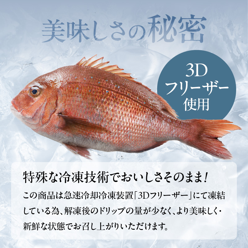 魃幄幻貍ャ縺代→逵滄ッ帙ョ繧ォ繝ォ繝代ャ繝√Ι繧サ繝繝茨シ亥推3鬟滂シ