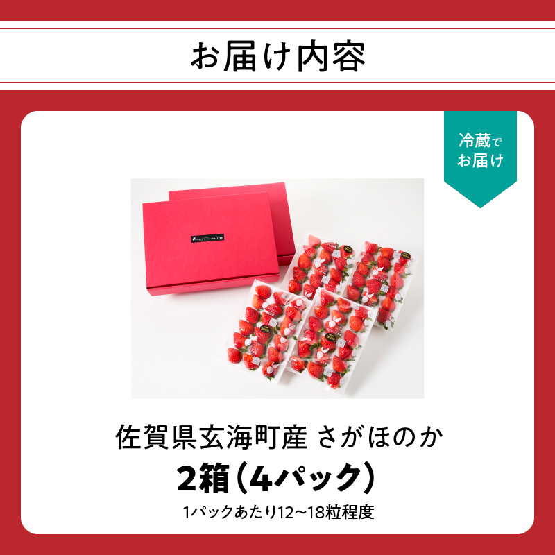★予約受付★平川いちご農園 佐賀県玄海町産いちご「さがほのかDX」2026年1月〜4月順次配送