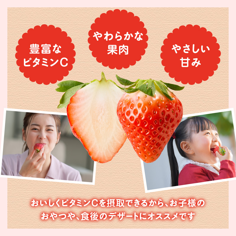 ★予約受付★平川いちご農園 佐賀県玄海町産いちご「さがほのかDX」2026年1月〜4月順次配送