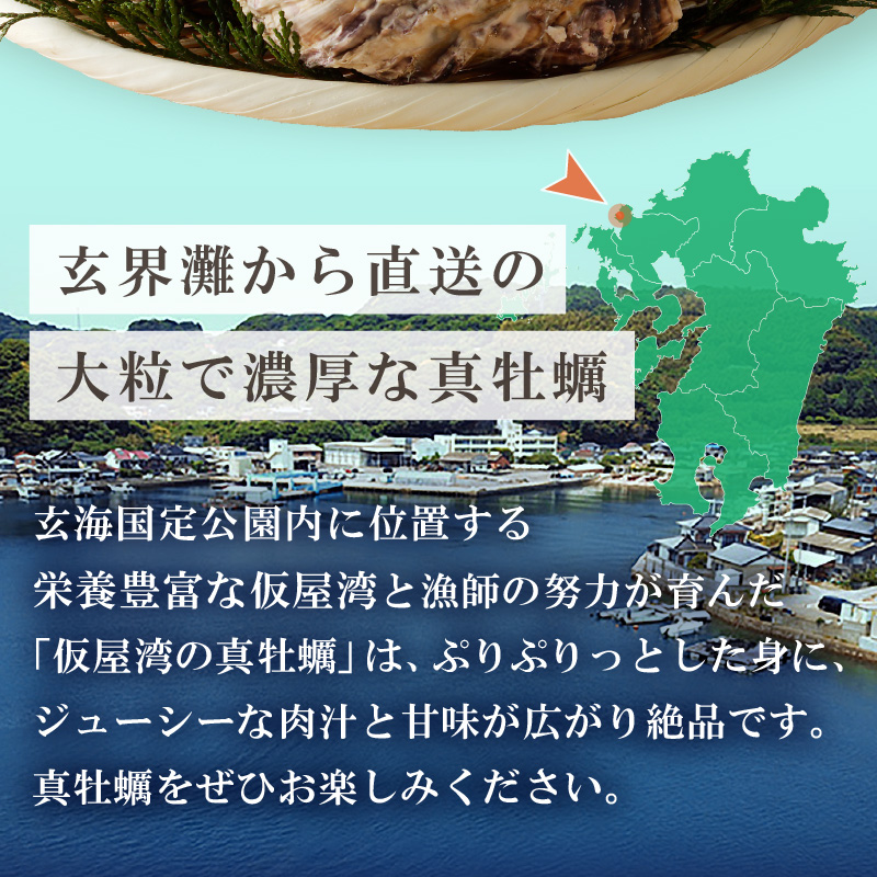 仮屋湾の真牡蠣 1.5kg【殻付き】（12月配送）