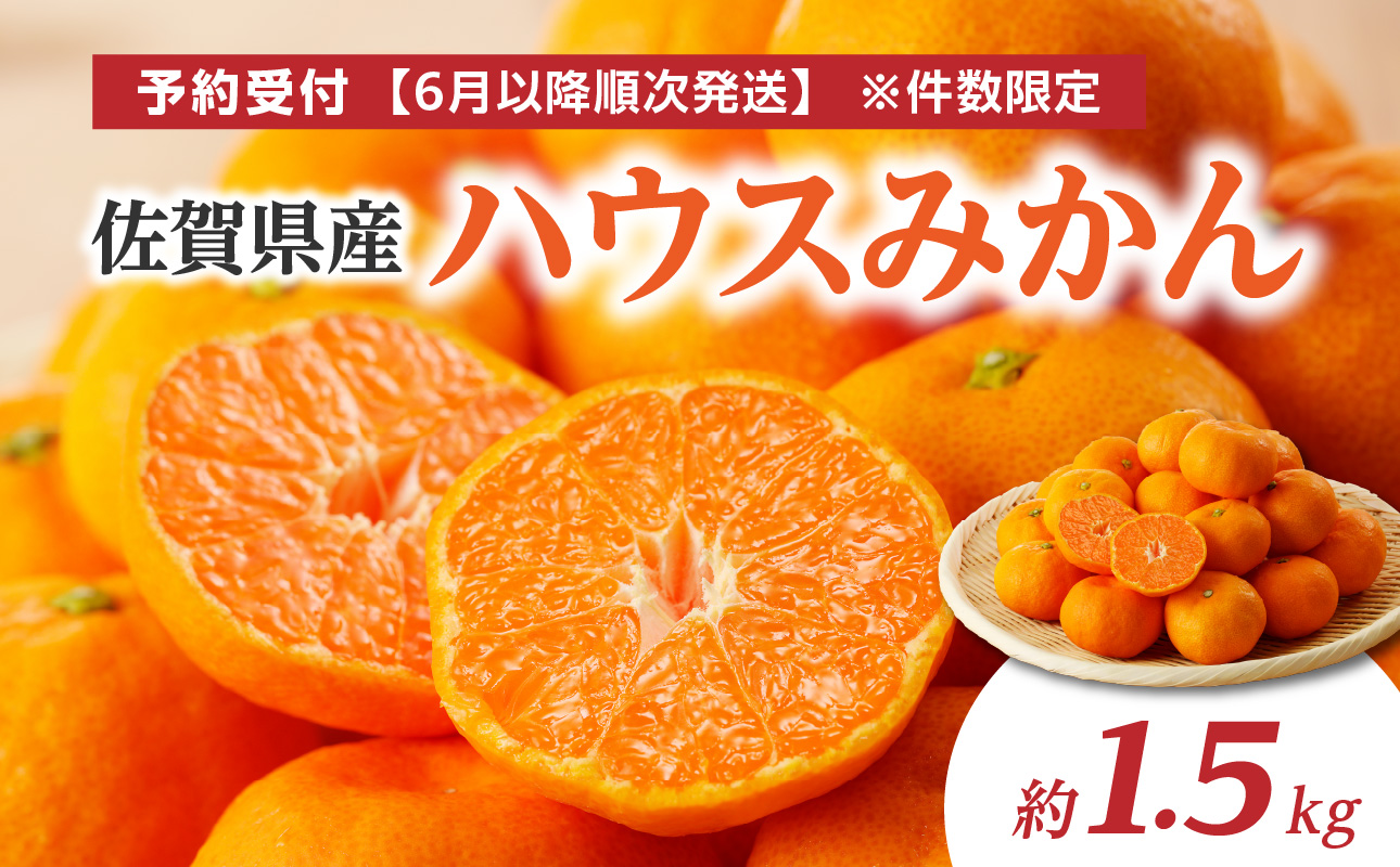 ★予約受付★【2026年6月以降配送】佐賀県産ハウスみかん　約1.5kg【件数限定】
