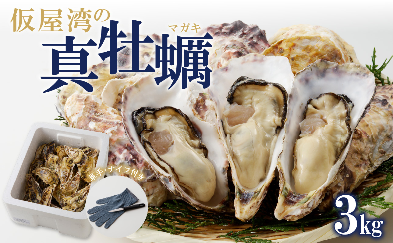 仮屋湾の真牡蠣 3kg【殻付き】（12月配送）