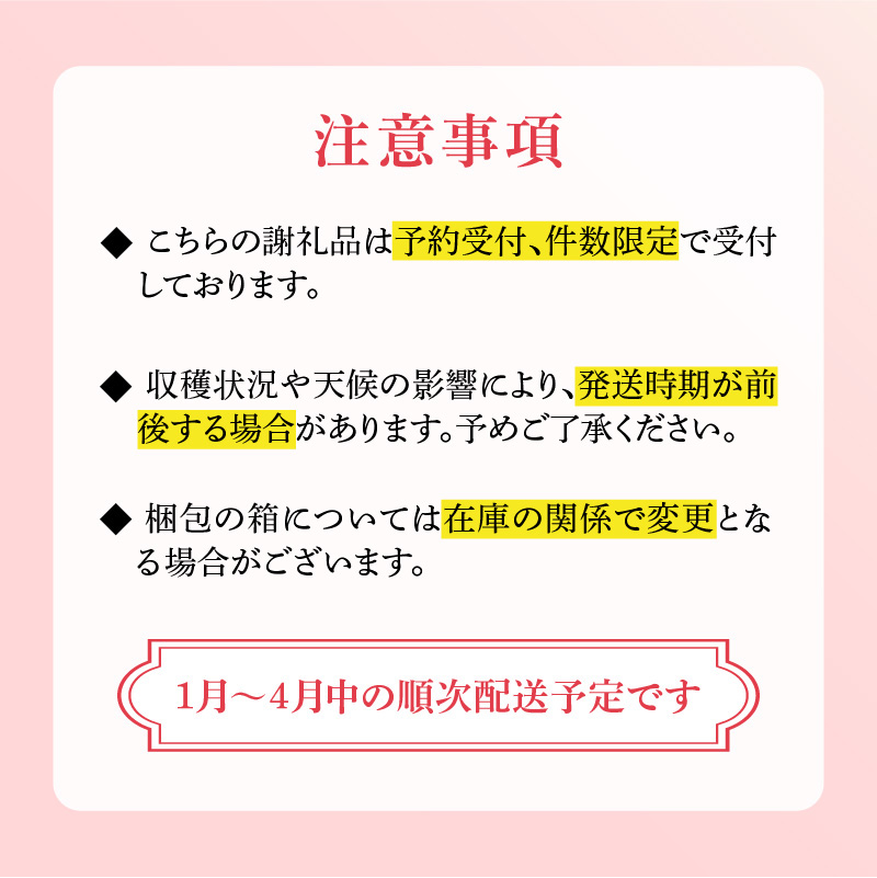 ★予約受付★玄海町産いちご“淡雪（あわゆき）”　毎月定期便DX