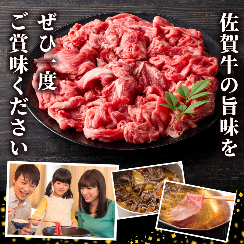 丸福 佐賀牛 切り落とし 500g