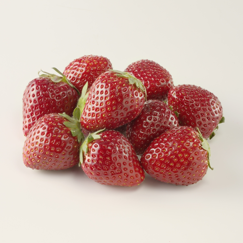 ãå®æäŸ¿6åãæ¬ã®ãã«ãŒãå®æäŸ¿ ïŒ ãã¡ã ãã³ã·ã§ãŠã¡ãã³ ããŠã¹ã¿ãã æž©å®€ã¿ãã ã€ããŽ èº ããã»ã®ã æ·¡éª ççŽ
ã®çŸéŽ çœãã¡ã é»ãã¡ã æç© å®æäŸ¿ ã»ãã å·èµ äœè³ç çæµ·çº