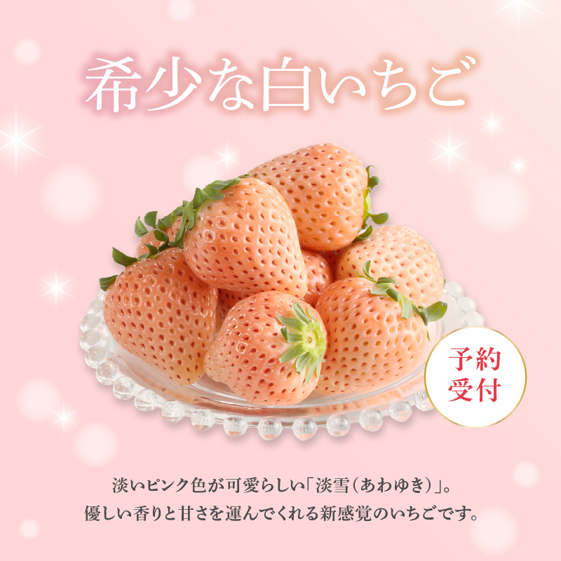★予約受付★杉山いちご農園 玄海町産いちご “淡雪（あわゆき）” 3ヶ月定期便DX