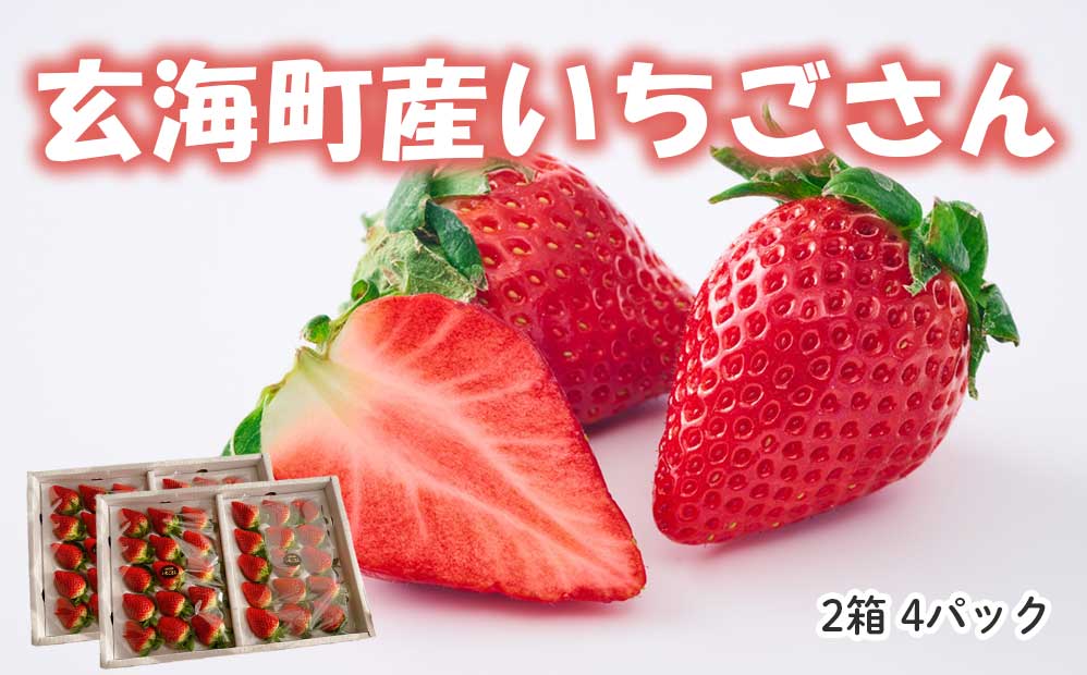 ★予約受付★平川いちご農園 佐賀県玄海町産いちご「いちごさんDX」2025年1月～4月順次配送