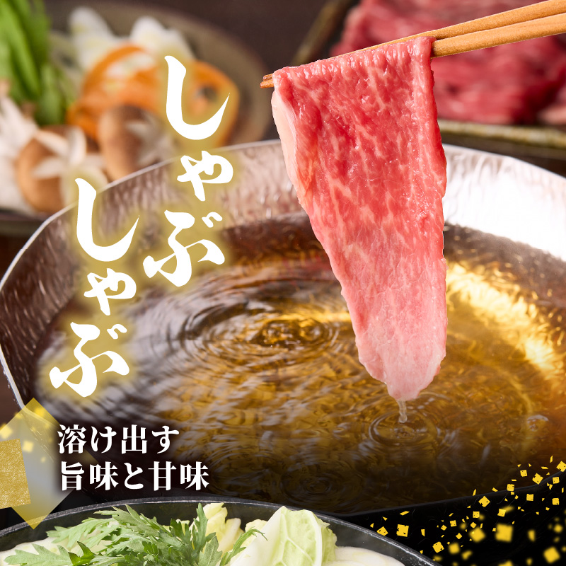 丸福 佐賀牛 切り落とし 500g