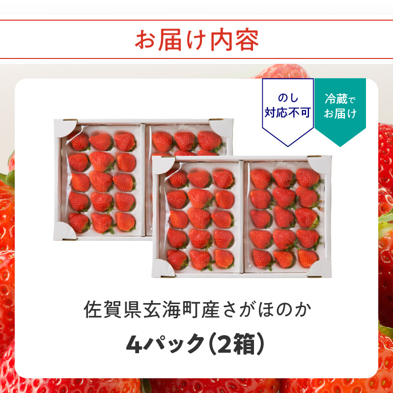 ★予約受付★渡邉農園 玄海町産いちご「さがほのかDX」1月〜4月に順次配送