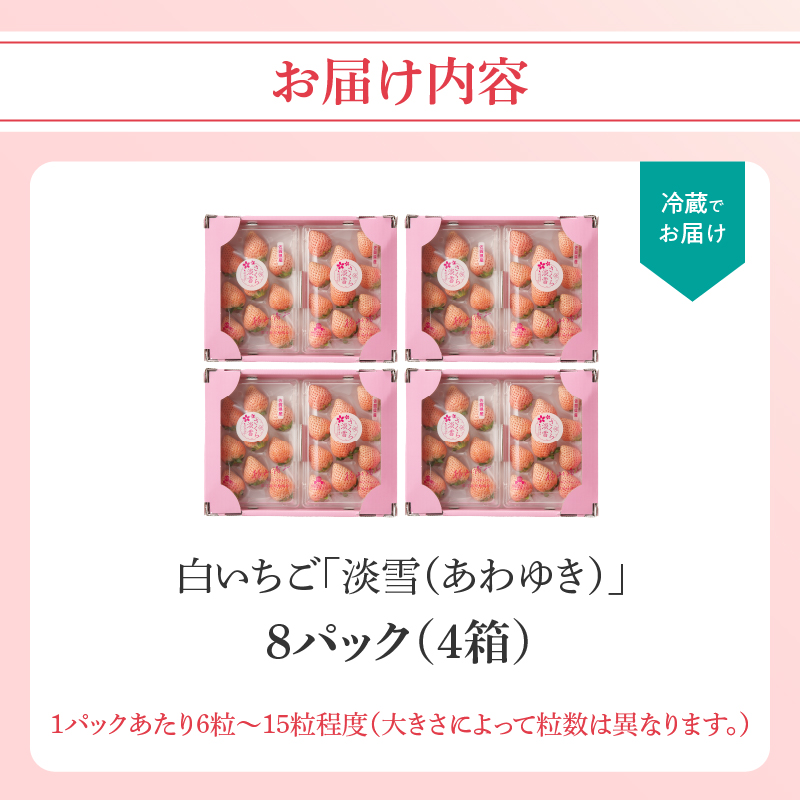 ★予約受付★杉山いちご農園 白いちご「淡雪（あわゆき）超DX」2027年1月〜5月中に順次配送