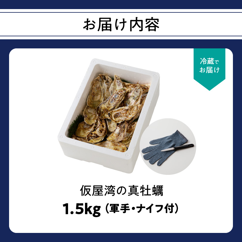 仮屋湾の真牡蠣 1.5kg【殻付き】（12月配送）