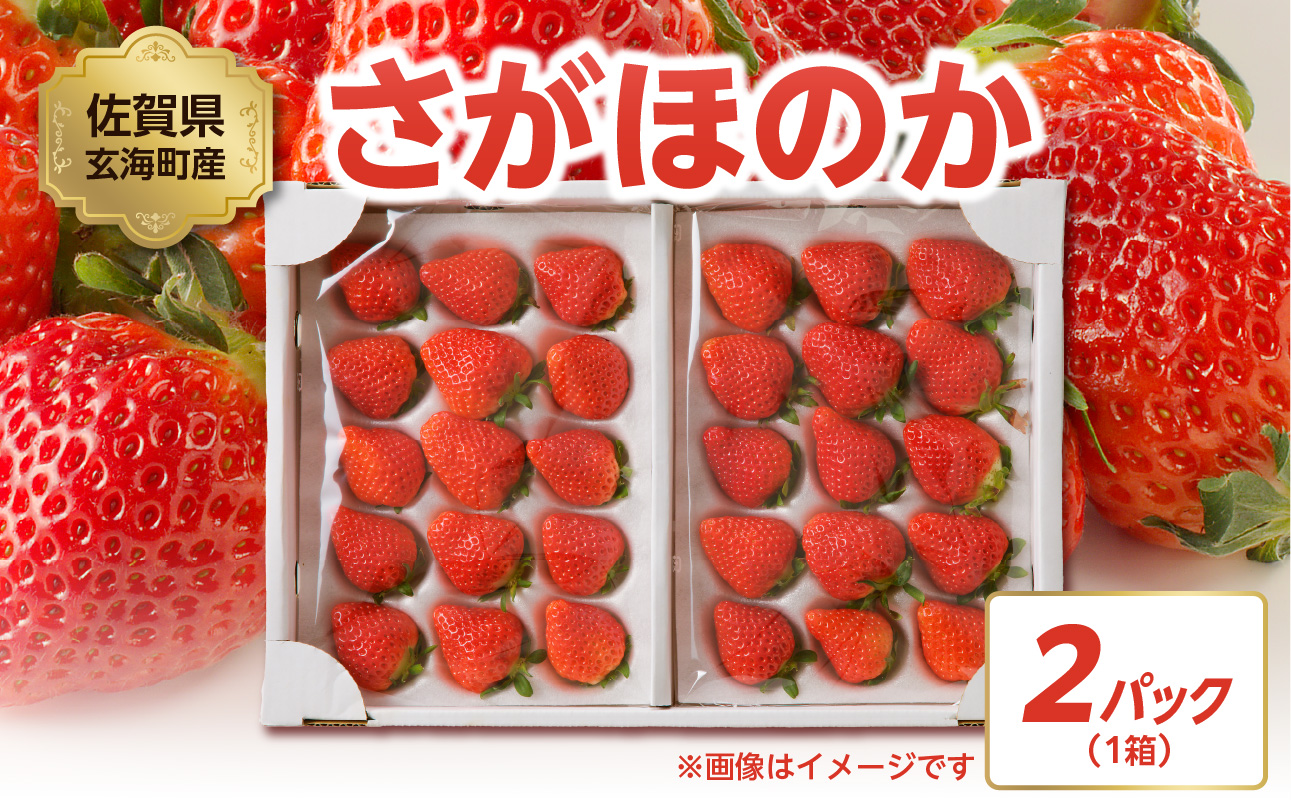 ★予約受付★渡邉農園 玄海町産いちご「さがほのか」1月〜4月に順次配送
