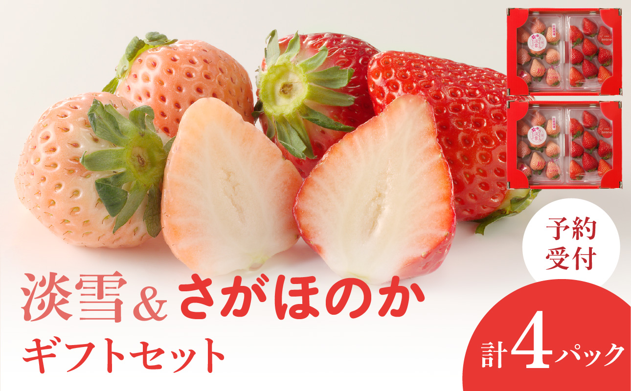 ★予約受付★杉山いちご農園 希少！白いちご「淡雪（あわゆき）」と「さがほのか」DX ギフトセット　2026年1月〜5月中に順次配送