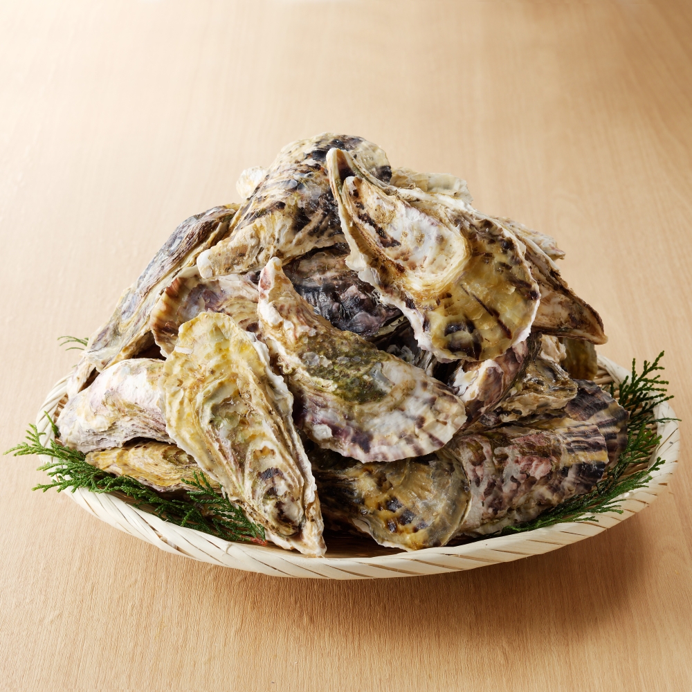 海鮮Premium定期便（12回）