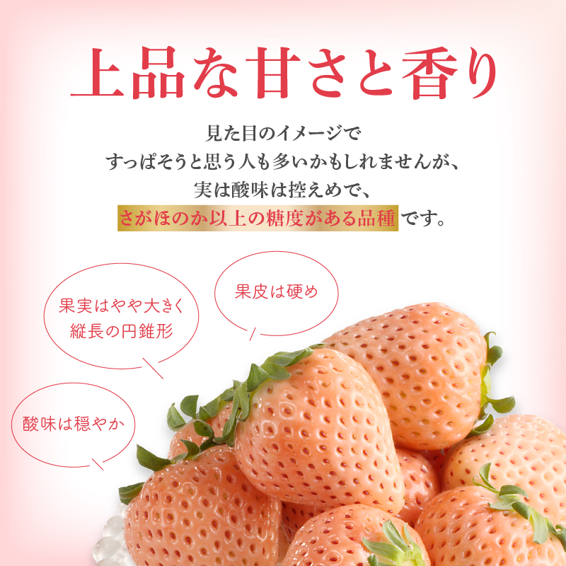 ★予約受付★杉山いちご農園 玄海町産いちご “淡雪（あわゆき）” 3ヶ月定期便