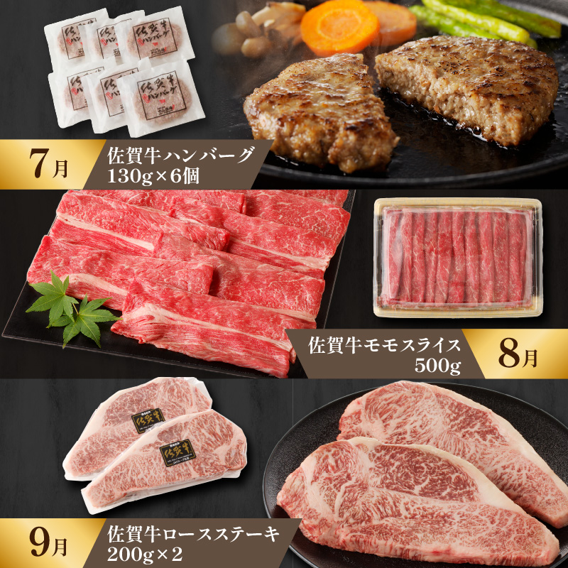 【特撰】佐賀牛・県産和牛　極味肉定期便 （毎月1回　計12回お届け）