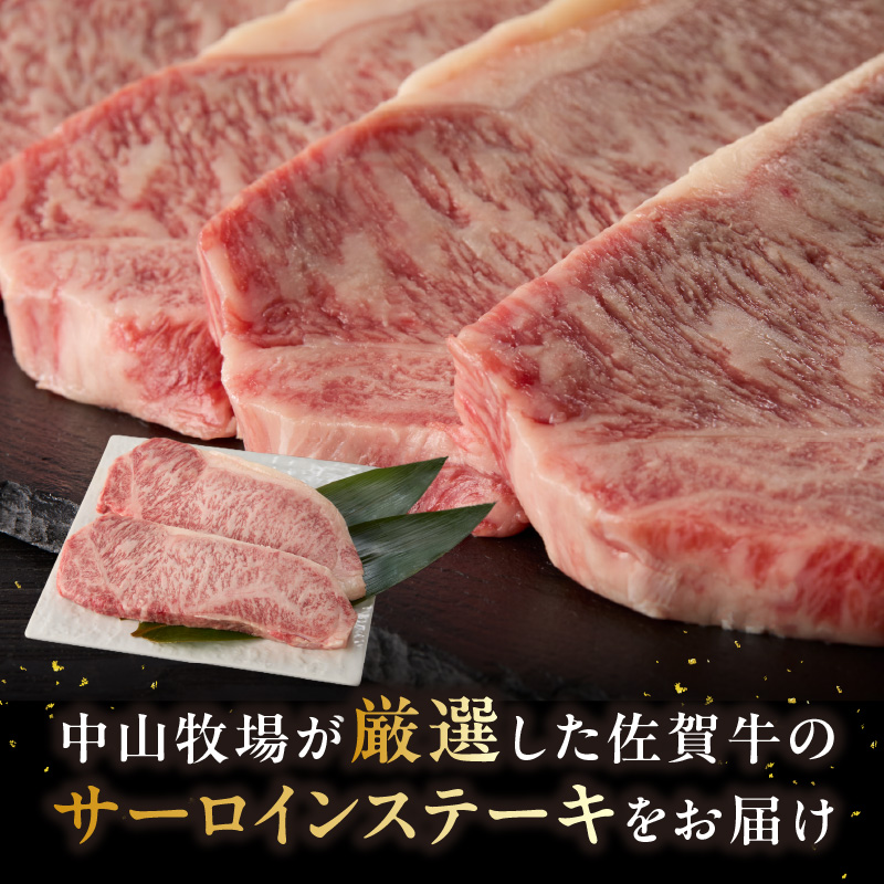 ãæéé
éãäœè³çãµãŒãã€ã³ã¹ããŒã 500g ïŒ äžå±±ç§å Ž çŽé çè ééã ååã ãªãããŒã¹ ããŒã¹ ãµãŒãã€ã³ ã¹ããŒã A5 A4 a5 a4 黿¯åç ãã©ã³ãç åœç£ äœè³ç çæµ·çº å·å