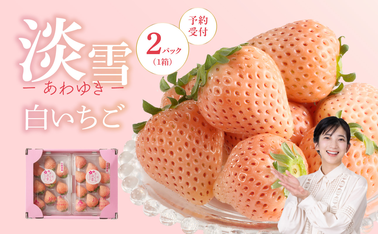 ★予約受付★杉山いちご農園 白いちご「淡雪（あわゆき）」2027年1月〜5月中に順次配送