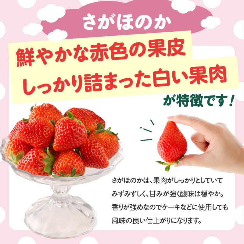 ★予約受付★杉山いちご農園 希少！白いちご「淡雪（あわゆき）」と「さがほのか」DX ギフトセット　2026年1月〜5月中に順次配送