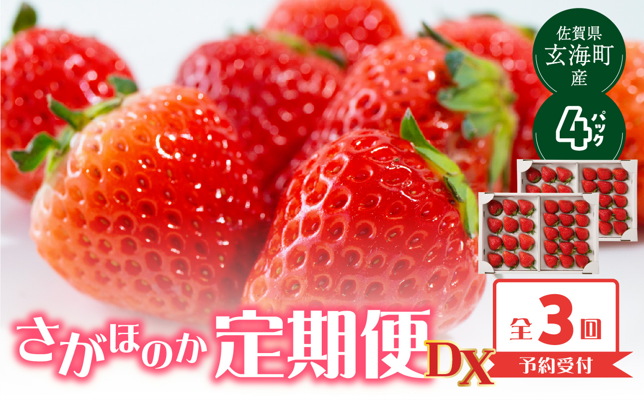 ★予約受付★佐賀県玄海町産「さがほのかDX」毎月定期便 