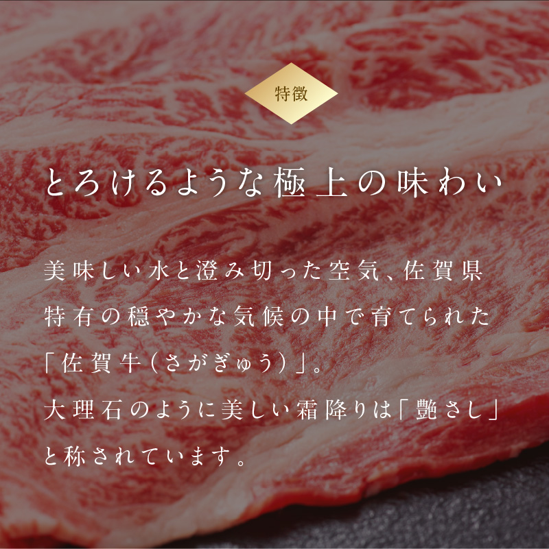 中山牧場 佐賀牛霜降りスライス定期便DX（12回）