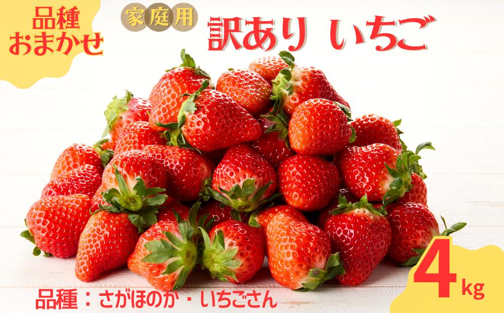 笘莠育エ蜿嶺サ倪蟷ウ蟾昴>縺。縺碑セイ蝨偵2026蟷エ3譛茨ス5譛 鬆谺。驟埼√醍私豬キ逕コ逕」縺縺。縺費シ亥ョカ蠎ュ逕ィ繝サ險ウ縺ゅjシ4kg シ 騾∵侭辟。譁 縺縺。縺 縺輔′縺サ縺ョ縺 縺縺。縺斐&繧 蟶悟ー 譫懃黄 縺上□繧ゅョ 繝輔Ν繝シ繝 繝繧カ繝シ繝 莠育エ蜿嶺サ