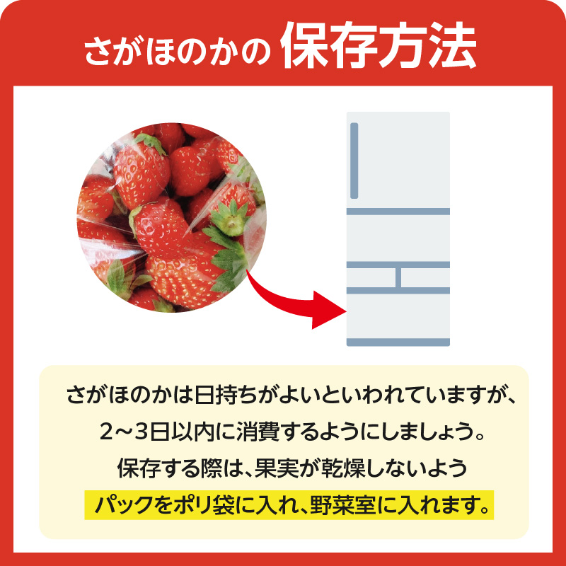 ★予約受付★平川いちご農園 佐賀県玄海町産いちご「さがほのか」2026年1月〜4月順次配送