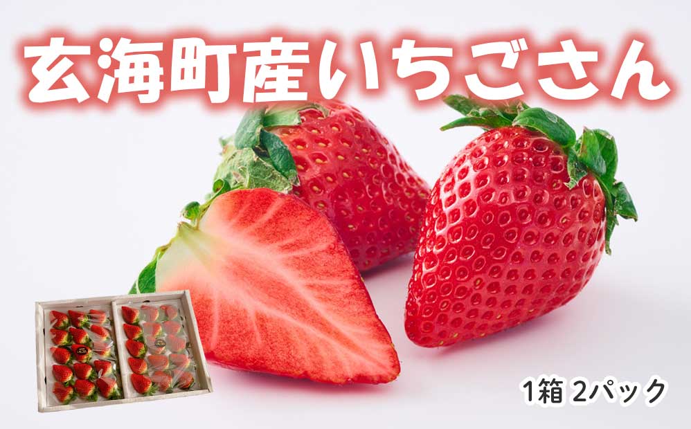 ★予約受付★平川いちご農園 佐賀県玄海町産いちご「いちごさん」2025年1月～4月順次配送