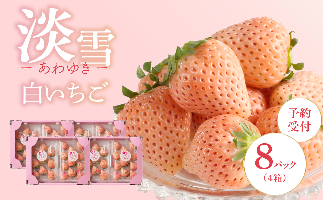 ★予約受付★杉山いちご農園 白いちご「淡雪（あわゆき）超DX」2027年1月〜5月中に順次配送